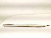 Schutzleiste Kotflügel Kia Optima III (FSGDS6B) 878502T000