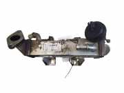 Abgaskühler Renault Koleos I (HY) 8200719993B