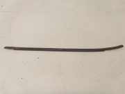 Türfensterleiste hinten links NISSAN MURANO I (Z50) 3.5 4x4 H2100CB0MM