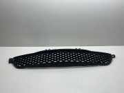 Gitter vorne unten SMART FORFOUR (454) 1.3 (454.031) A4548880123