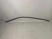 Dachleiste links PORSCHE PANAMERA (970) 3.6 4 97055961300