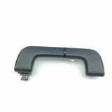 Dachgriff vorne links VW TOUAREG (CR7) 3.0 eHybrid 4motion 4N0857607