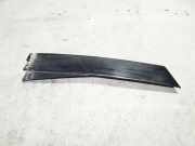 Vertikale Verkleidung an der hinteren rechten Tür VW PASSAT B5 (3B3) 2.0 3B5839902 3B5839902041