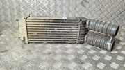 Ladeluftkühler PEUGEOT 207 CC (WD_) 1.6 16V Turbo 9651280680