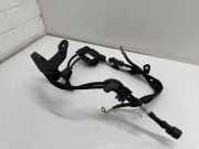 Kabelbaum BMW X3 (G01, F97) xDrive 30d Mild-Hybrid 7650014