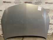 Motorhaube Opel Insignia A (G09)