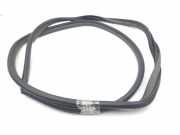 Türdichtung Toyota Prius (W3)