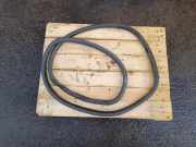 Dichtungsgummi für die hintere linke Tür VW TIGUAN (5N_) 2.0 TDI