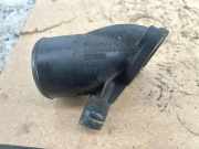 AUSPUFFROHR NISSAN PATHFINDER III (R51) 2.5 dCi 4WD ECD1B