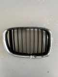 Gitter Grill vorne links BMW 5 (E39) 530 d 8159312