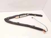 Dach SRS rechts CITROËN C3 I (FC_) 1.6 16V HDi CC103651XX 0423570