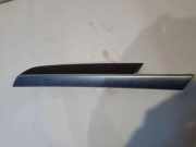 Türpolsterverkleidung hinten links BMW X6 (E71, E72) xDrive 50 i 4560700