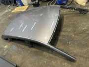 Dach RENAULT CAPTUR II (HF_) TCe 100 (HFMT)