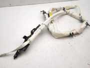 Dach SRS rechts LAND ROVER RANGE ROVER EVOQUE Cabrio (L538) 2.0 D 4x4 BJ3214K159BC