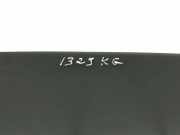 Türscheibe links hinten Audi Q5 (8R)