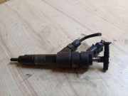 Einspritzdüse CITROËN JUMPER Minibus / passenger (244, Z_) 2.0 bivalent 0445120002