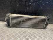Ladeluftkühler FORD TRANSIT CUSTOM 2.0 TDCi GK216K775AE