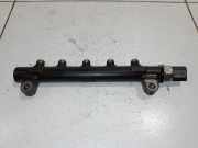 Einspritzleiste Chevrolet Captiva (C100, C140) 96868901