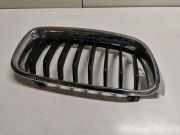 Vorderer oberer Gitter BMW 3 (F30, F80) 320 i 7295436