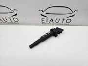 Hochspannungszündkabel (Steckkabel) BMW X6 (E71, E72) xDrive 50 i 0221504470 7571643