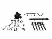 Düsenstöcke Volvo S60 II (134) 0445215025