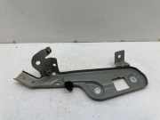 Kotflügelhalter vorne links RENAULT GRAND SCÉNIC IV (R9_) 1.5 dCi 110 620433474R