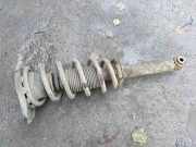 Stoßdämpfer hinten rechts NISSAN PRIMERA Hatchback (P12) 1.6