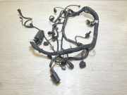 Motor Kabelbaum MERCEDES-BENZ A (W168) A 160 CDI (168.007) A6401501633