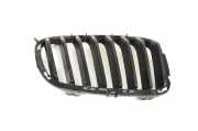 Vorderer oberer Gitter BMW 2 Coupe (F22, F87) M 235 i 7295524