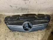 Vorderer oberer Gitter MERCEDES-BENZ SLK (R172) 200 (172.448) A1728880160