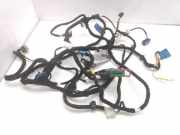 Kabelbaum FIAT BRAVO II (198_) 1.6 D Multijet 51795803198 51795803