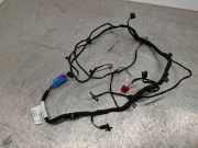 Kabel der vorderen linken Tür AUDI A6 Avant (4G5, C7, 4GD) 3.0 TDI quattro 4G5971035AL