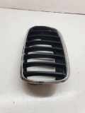 Vorderer oberer Gitter BMW X5 (E70) 4.8 i xDrive 7171395