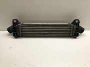 Ladeluftkühler FORD MONDEO III (B5Y) 2.2 TDCi 868963A
