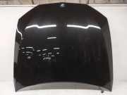 Motorhaube BMW 5 (G30) 530 i xDrive