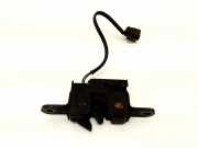 Motorhaubenschloss RENAULT SCÉNIC III (JZ0/1_) 1.6 dCi (JZ00, JZ12) 656010010R