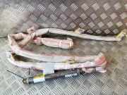 Dach SRS rechts VW SHARAN (7N1, 7N2) 2.0 TDI 7N0880742