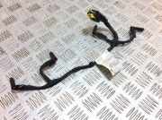 Kabelbaum Fiat Ducato Pritsche (290) 1565555