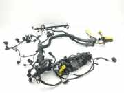 Motor Kabelbaum BMW X5 (F15, F85) xDrive 40 d 858360201