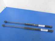 Gasfeder für Motorhaube Fiat Stilo (192)