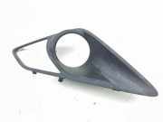 Nebelscheinwerferverkleidung