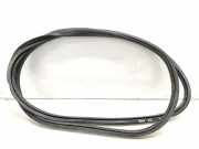 Türgummi links vorne Peugeot Traveller Bus (V)