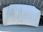 Motorhaube VW CADDY III Furgon (2KA, 2KH, 2CA, 2CH) 1.9 TDI