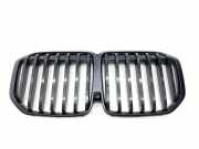 Kühlergrill oben BMW X7 (G07) 20240049231