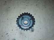 Kurbelwellenriemenscheibe AUDI A6 (4F2, C6) 2.0 TDI 038105263H