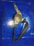 Sicherheitsgurt hinten links BMW 3 Cabrio (E46) 330 Cd 566254621