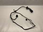 Türverkabelung hinten links BMW 1 (F20) 116 d 9286186