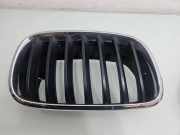 Vorderer oberer Gitter BMW X5 (E70) xDrive 30 d 7171396