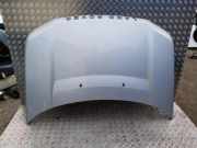 Motorhaube LAND ROVER FREELANDER 2 (L359) 2.2 TD4 4x4