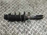 Stoßdämpfer vorne rechts RENAULT CLIO V (B7_) 1.3 TCe 130 (B7MF)